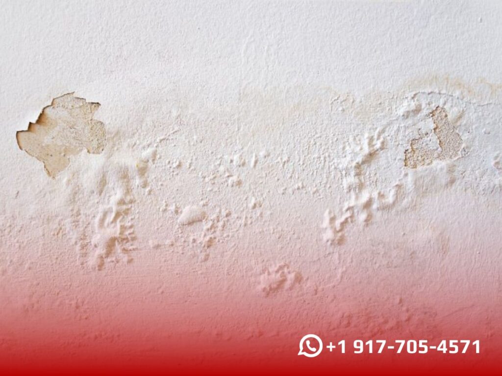 Why is My Drywall Bubbling, and How Do I Fix It?