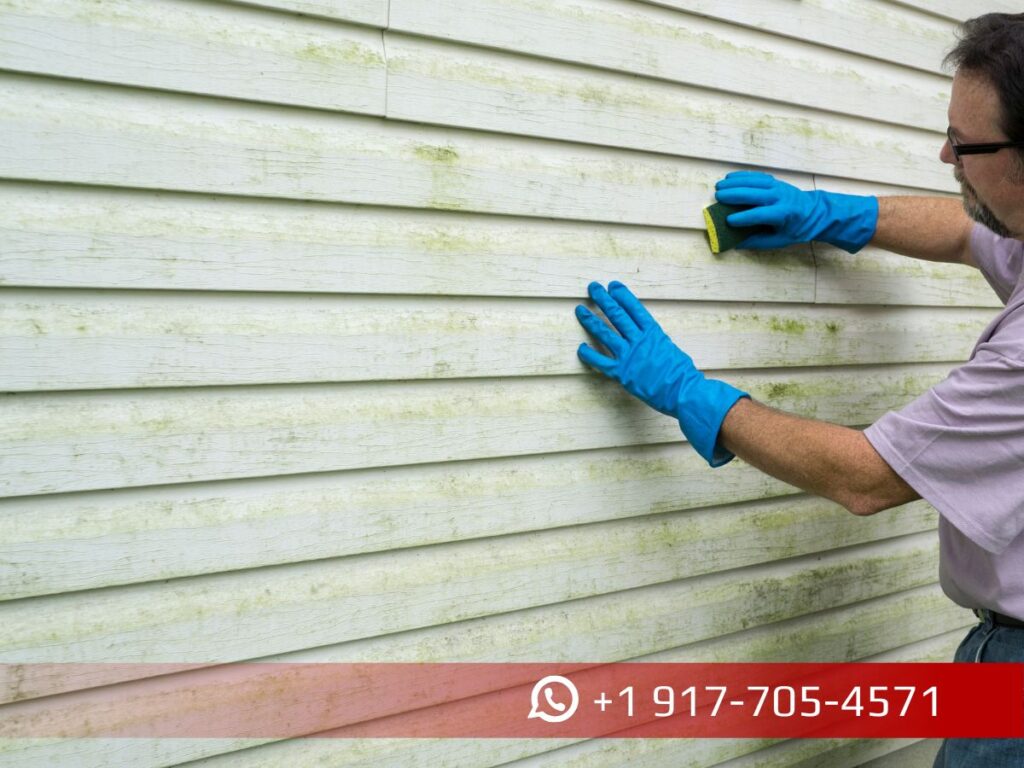 Paint Vinyl Siding | Can You Do It? Find Out!