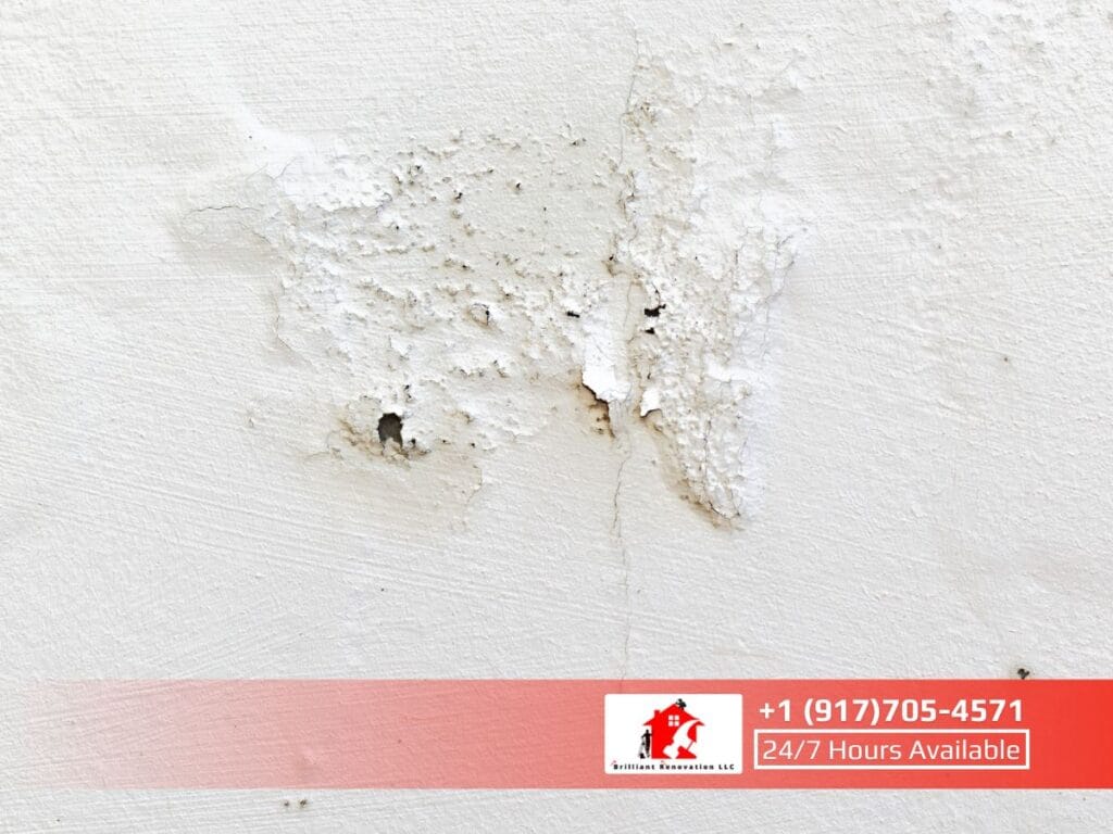 How to Fix Peeling Exterior Paint in Bronx, NY?