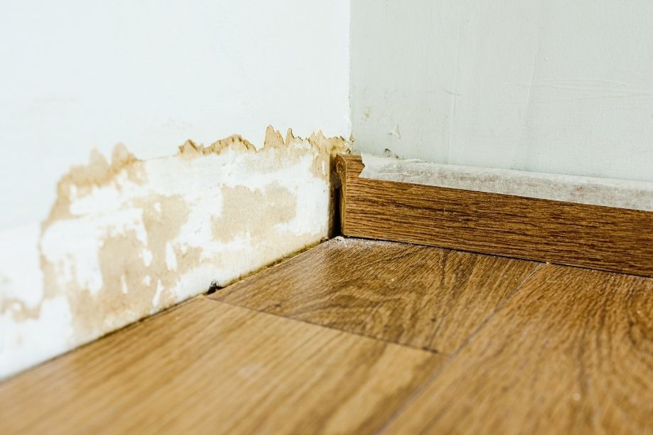 water-damaged-drywall-in-bronx-repair-solutions